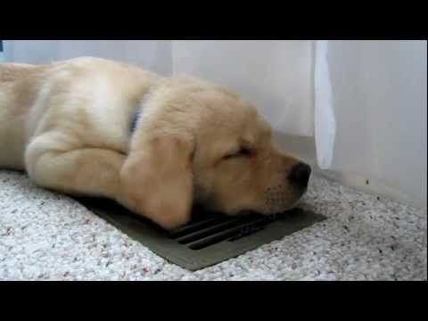 Air Conditioning Is Adorable