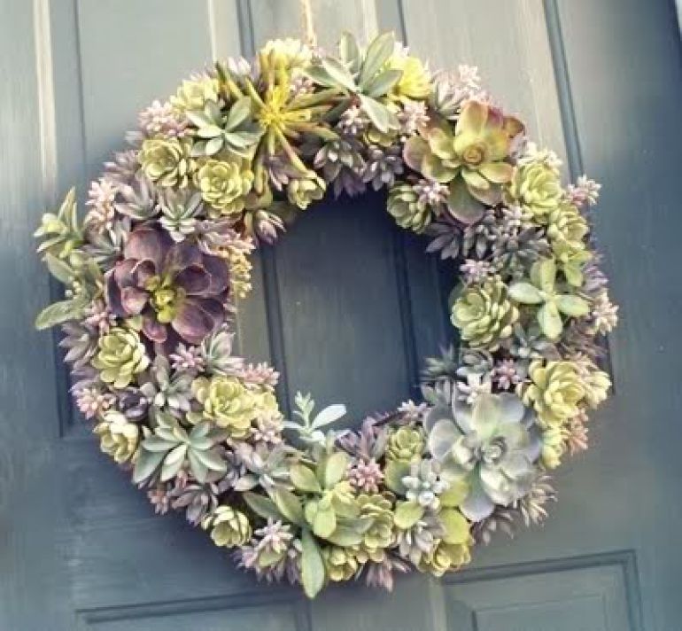 succulent wreath