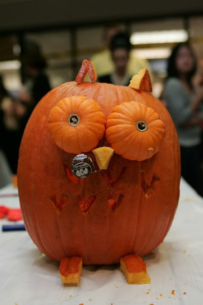 pumpkin owl