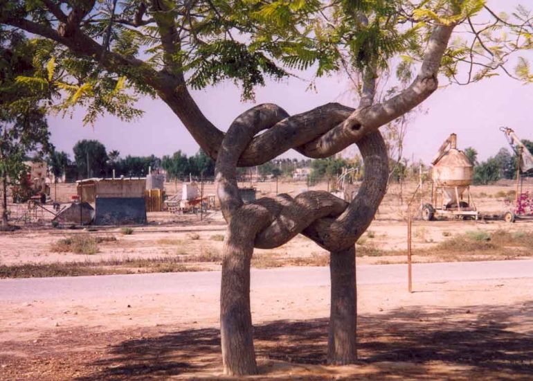 14 Trees With More Swag Than You’ll Ever Have
