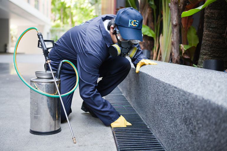 5 Reasons To Consider Professional Pest Control