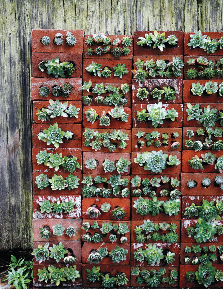 DIY Recycled Brick Succulent Wall