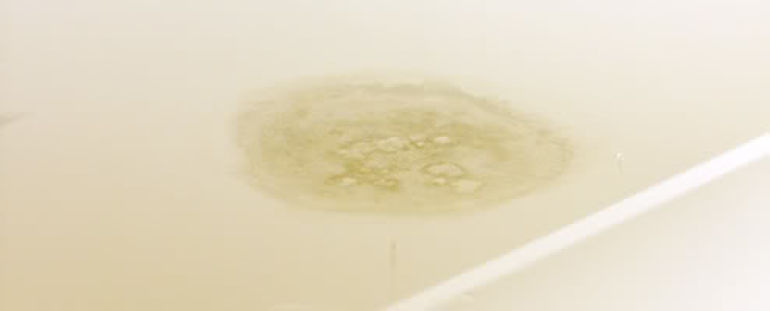 ceiling mould
