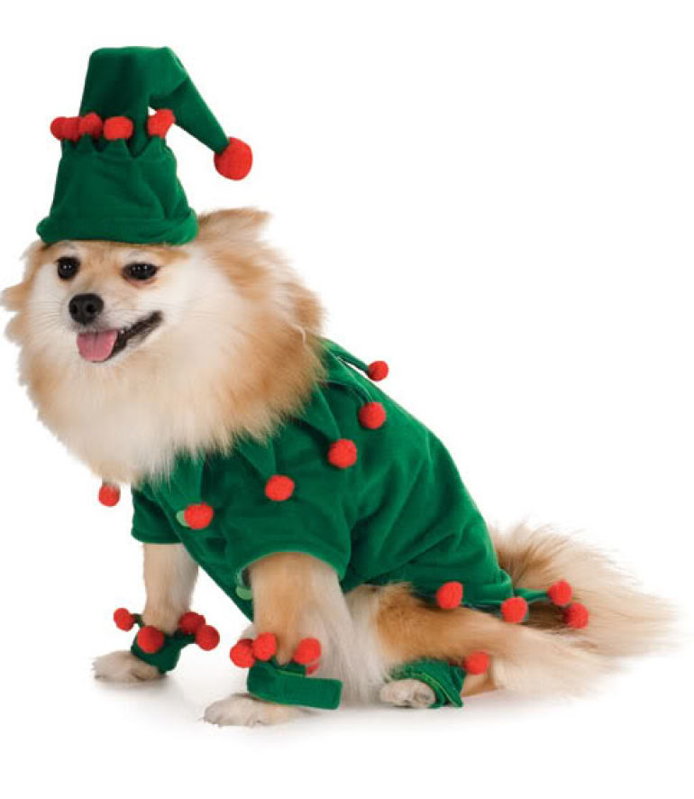 christmas pet