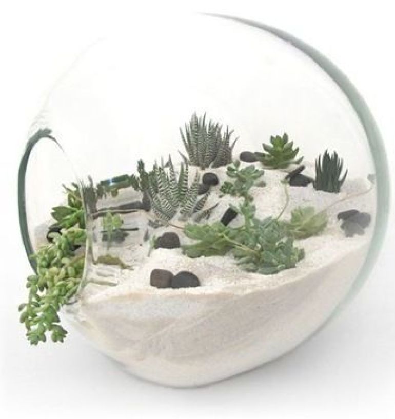 Incredible DIY Terrarium Ideas