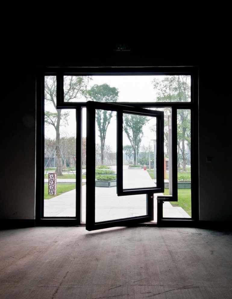 Camouflaged Pivot Door