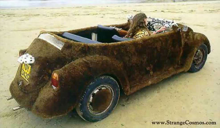 funny car