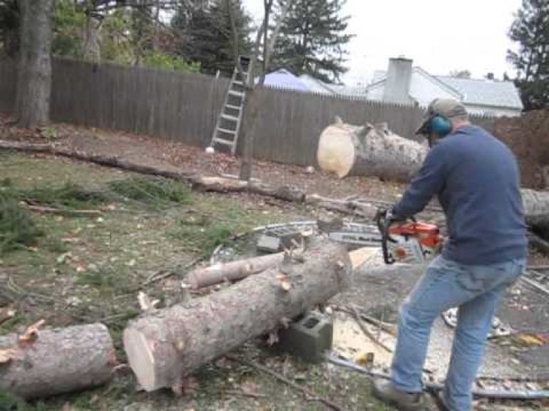 Now this is a Professional Tree Lopper!