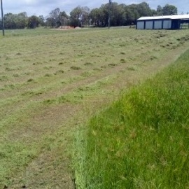 Image1.jpg