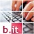 Biralee IT Logo