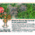 Ken Rostron Logo