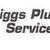 Biggs Plumbing Services Logo