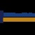Dhillon Networks Logo