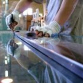 A Champane Glass 4.jpg