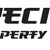 Precizion Property Services Logo