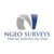 NGEO Surveys Logo